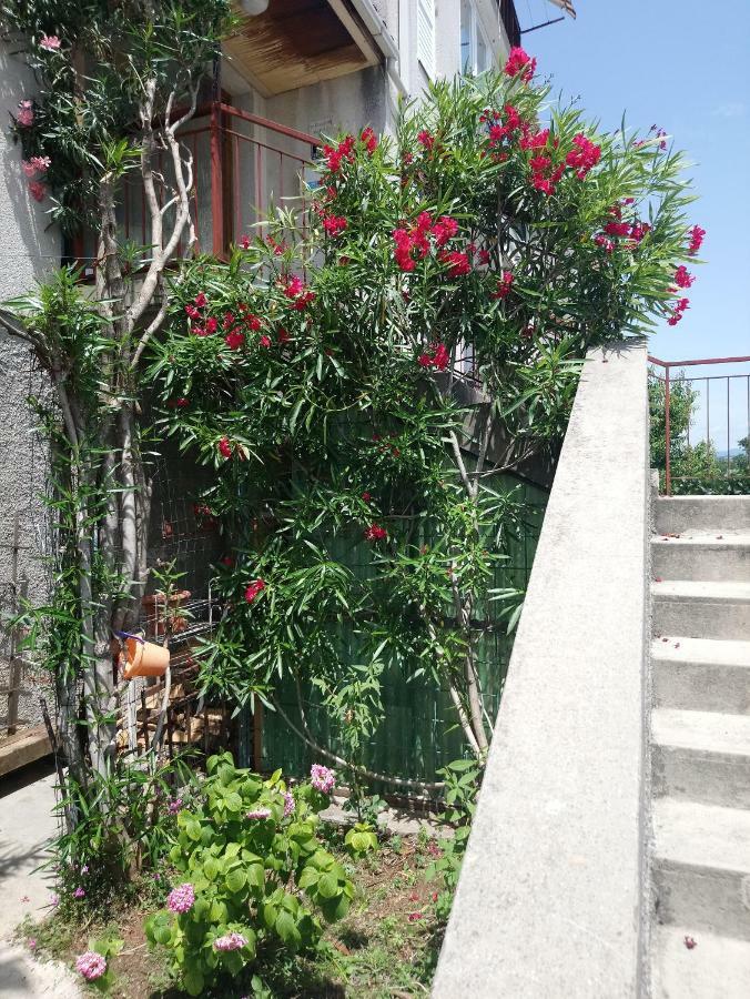 Charming Hill Apartman *